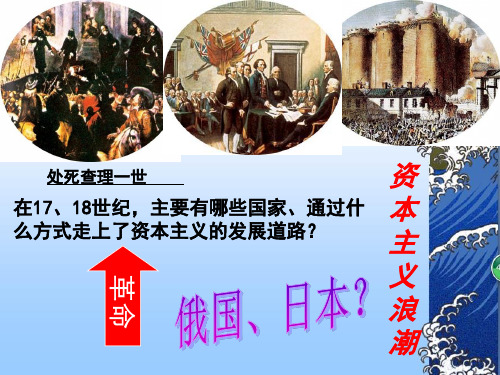 34俄国和日本的改革PPT课件
