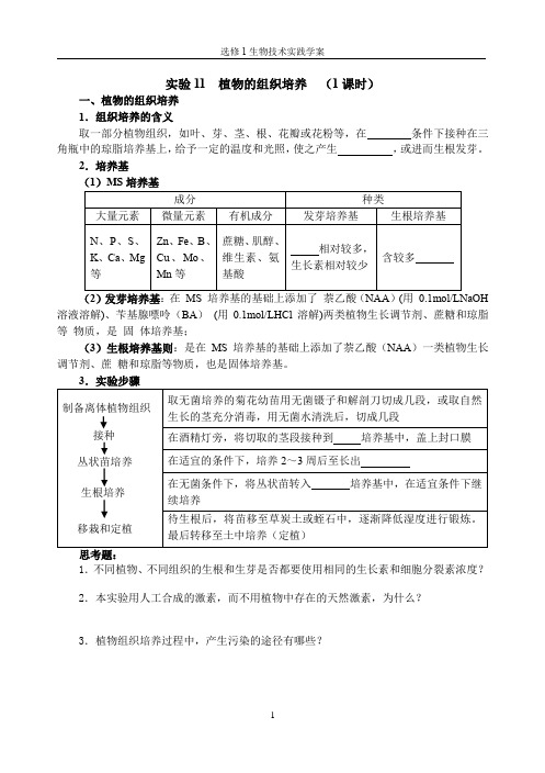 高中生物选修1生物技术实践学案 第四部分 浅尝现代生物技术
