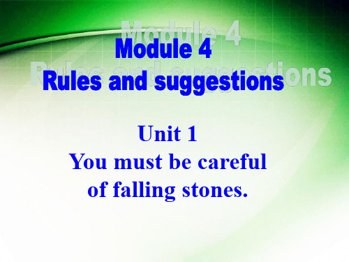 外研版九年级下册英语《Module 4 Rules and suggestions Unit 》课件公开课 (8)