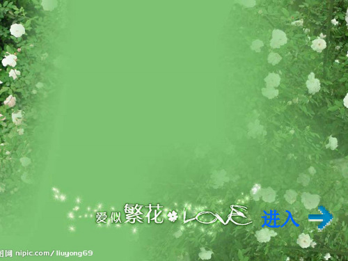 车型分类