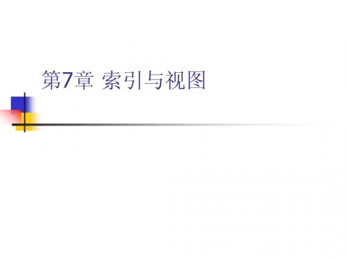 第7章 索引与视图 数据库原理及应用SQL Server 2008数据库原理及应用课件