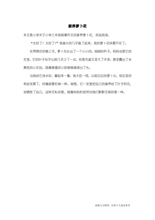 小学三年级叙事作文：家养萝卜花_1