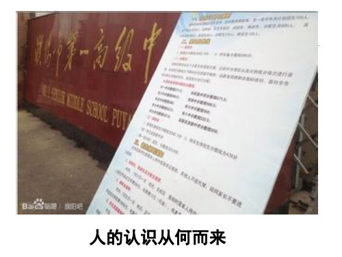 6.1人的认识从何而来(黄鼠狼不是偷鸡“专家”)