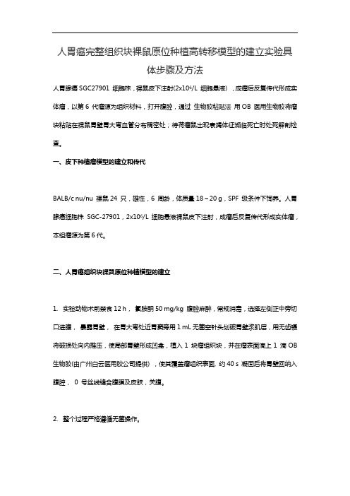 人胃癌完整组织块裸鼠原位种植高转移模型的建立实验具体步骤及方法