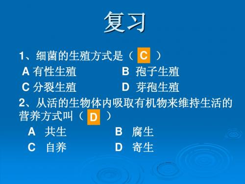 上海九年级生命科学复习题