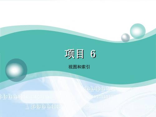 项目6  视图和索引