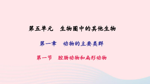 八年级生物上册第五单元第一章第一节腔肠动物和扁形动物习题课件(新版)新人教版