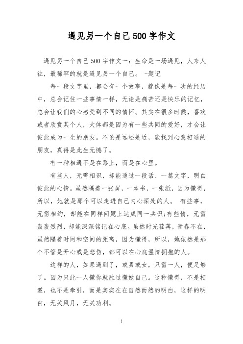 优秀作文：遇见另一个自己500字作文