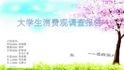 大学生消费观调查报告——六组PPT课件