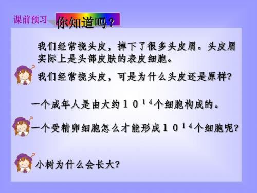 细胞增殖、分化、衰老ppt 优秀课件