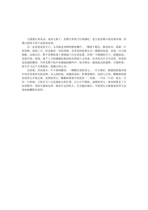 杏儿熟了