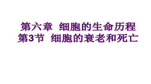 高中生物人教版必修1 《6.3细胞的衰老和死亡》课件(20张PPT)