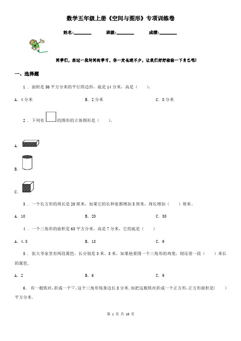 数学五年级上册《空间与图形》专项训练卷