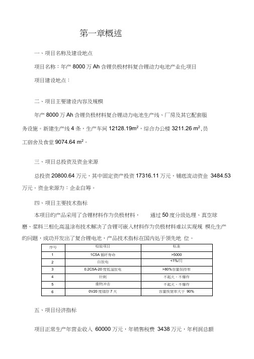 中牟电池项目可研报告