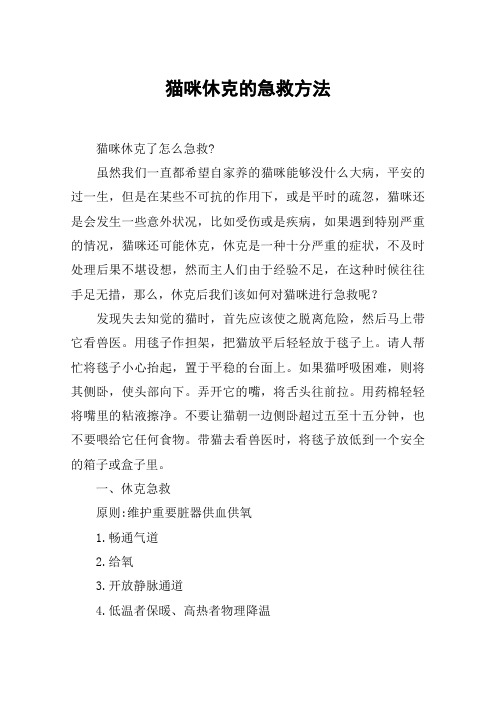 猫咪休克的急救方法