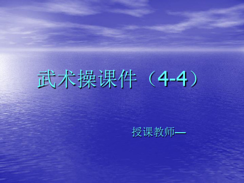 武术操4