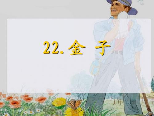 苏教版《金子》课件
