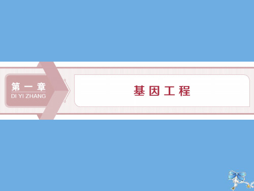 2019_2020学年高中生物第一章基因工程第一节基因工程概述第1课时基因工程的发展历程和工具课件苏教版选修3
