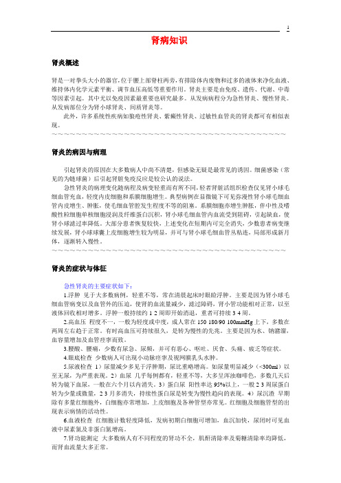 肾病知识