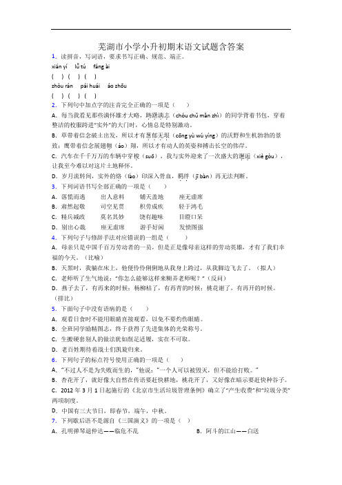芜湖市小学小升初期末语文试题含答案