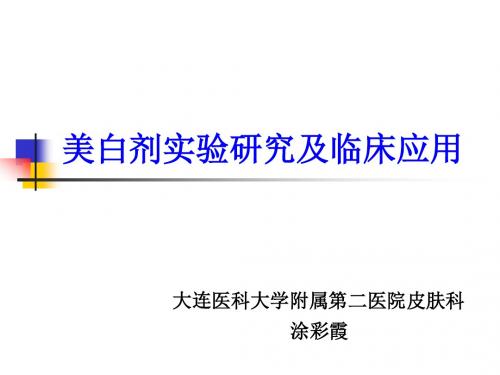 美白剂实验研究及临床应用ppt课件