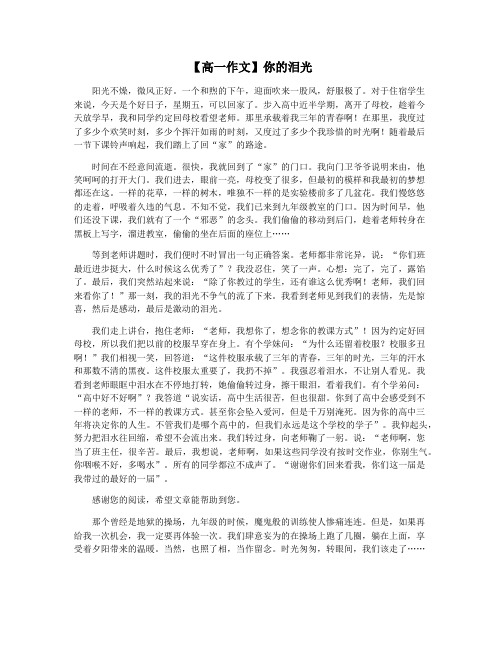 【高一作文】你的泪光