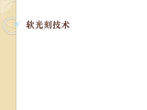 生物医学工程先进制造：软光刻技术