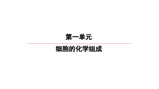 高考生物一轮复习：第讲蛋白质和核酸教学课件
