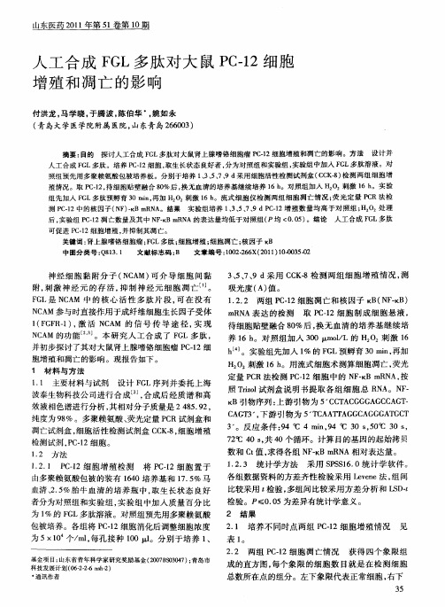 人工合成FGL多肽对大鼠PC-12细胞增殖和凋亡的影响