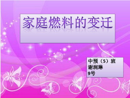 家庭燃料的变迁