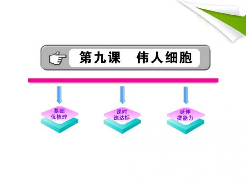 金榜学案七年级语文上册 第9课 伟人细胞 新课标配套课件 苏教版