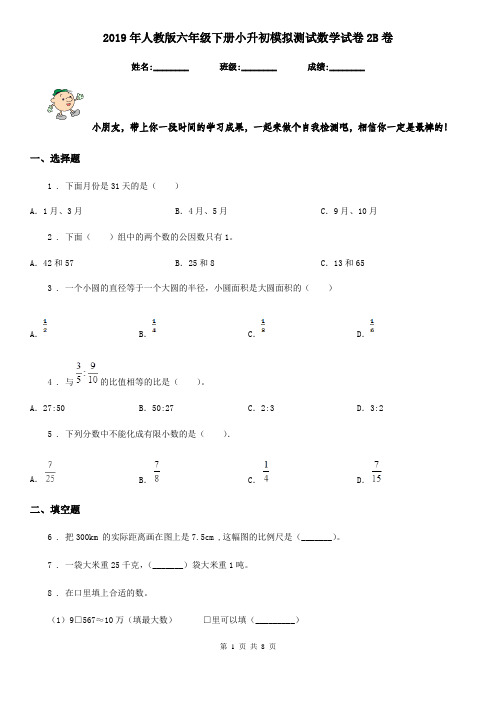2019年人教版六年级下册小升初模拟测试数学试卷2B卷
