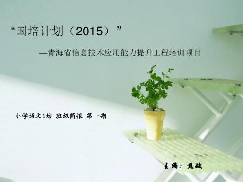 国培班级简报第一期.