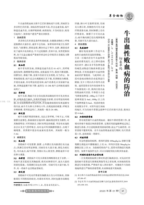 牛出血性败血病的防治
