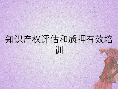 知识产权评估和质押有效培训