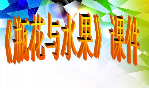 《瓶花与水果》课件02