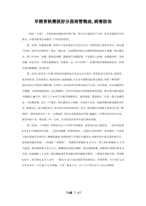 早稻育秧需抓好分段培管粮油,病害防治