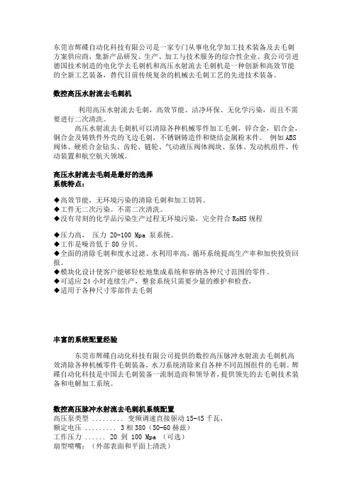高压水射流去毛刺机