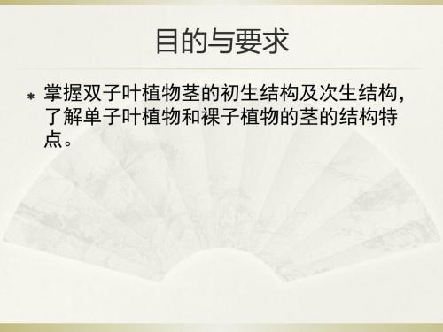 茎的形态与结构