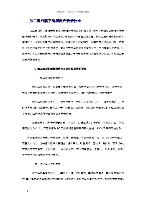 加工番茄膜下滴灌高产栽培技术高产