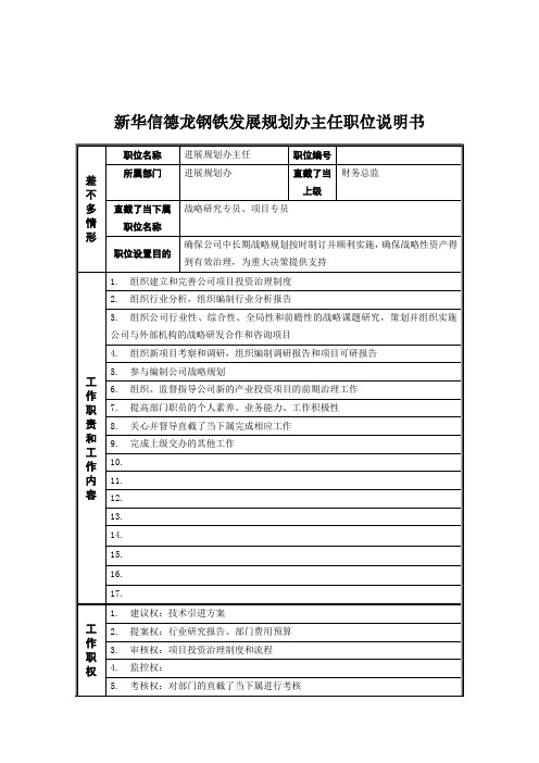 新华信德龙钢铁发展规划办主任职位说明书
