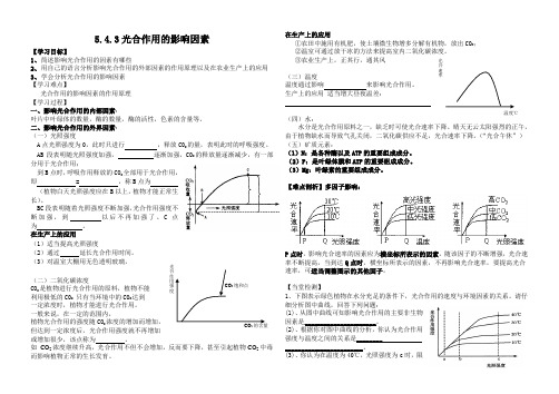 光合作用影响因素