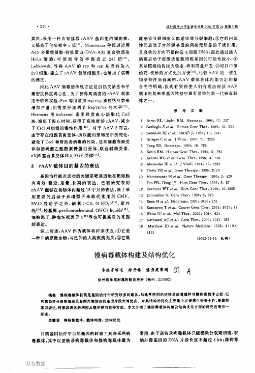 慢病毒载体构建及结构优化