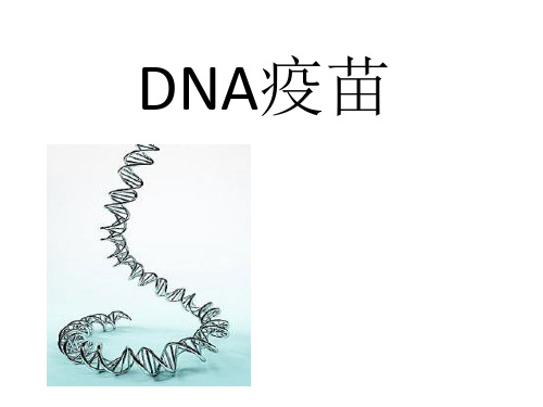 生物制药———DNA疫苗