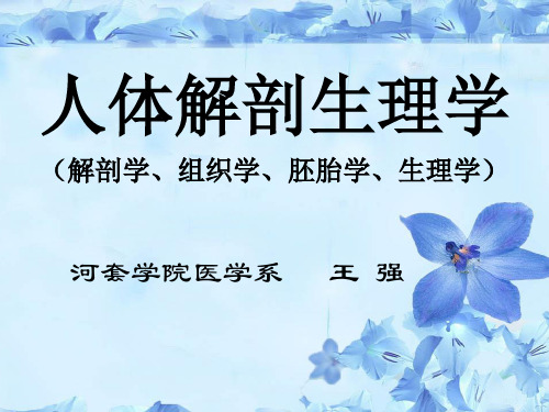 人体解剖学生理学-血液(河套学院-王强)