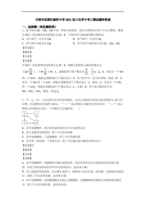 天津市武清区雍阳中学2021初三化学中考三模试题和答案