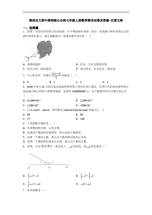深圳北大附中深圳南山分校七年级上册数学期末试卷及答案-百度文库