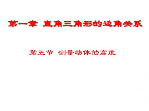 测量物体的高度课件