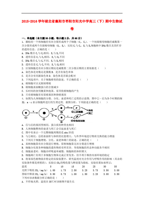 湖北省襄阳市枣阳市阳光中学高三生物下学期期中试卷(含解析)