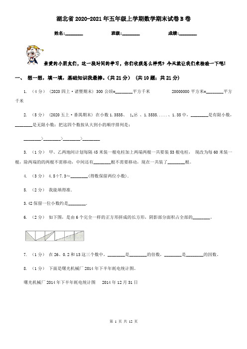 湖北省2020-2021年五年级上学期数学期末试卷B卷